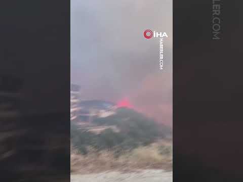 Alevlerin evlerine yaklaşmasını çığlık çığlığa izlediler